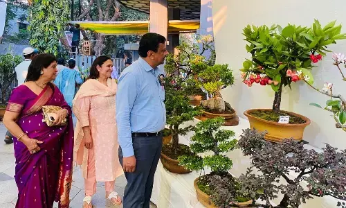 इमली, जामुन, आम से लदे बोनसाई पेड़ देख खुश हुए लोग, गुलमोहर 100 वर्ष पुराना