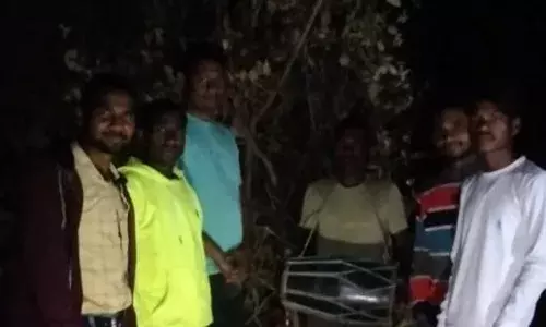 आदिवासी बैगा परिवारों की अनूठी होली, सात अविवाहित युवा सेमर की टहनी काटकर करते हैं होलिका की स्थापना