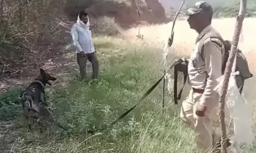 वन्य प्राणी शिकार के मामले में डॉग स्क्वार्ड से कराई गई सर्चिंग