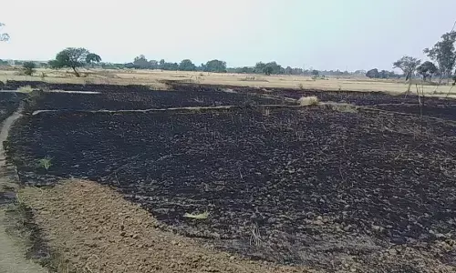 ग्राम बघवार के पटी में गेहूं की फसल में लगी आग