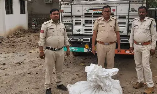 पशु तस्करों के खिलाफ एक्शन, अलग-अलग थाना क्षेत्रों में पकड़े गए 83 मवेशियों से लोड 2 ट्रक, 3 आरोपी भी गिरफ्तार पशु तस्करों के खिलाफ एक्शन, अलग-अलग थाना क्षेत्रों में पकड़े गए 83 मवेशियों से लोड 2 ट्रक, 3 आरोपी भी गिरफ्तार