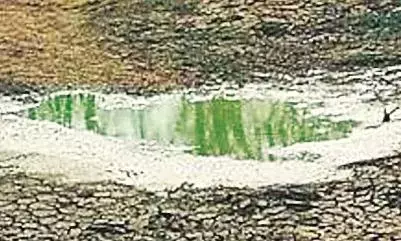 सूखने की कगार पर 100 प्राकृतिक जलस्रोत, वन्यजीवों के सामने प्यास बुझाने का संकट