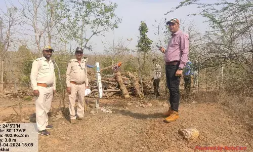 नैखाई तलैया के पास नीलगाय को वाहन की टक्कर लगने से हुई मौत नैखाई तलैया के पास नीलगाय को वाहन की टक्कर लगने से हुई मौत