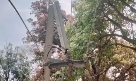 ग्राम पाली में विद्युत लाईन टूटी, छ: दिनों से पेयजल सप्लाई बाधित