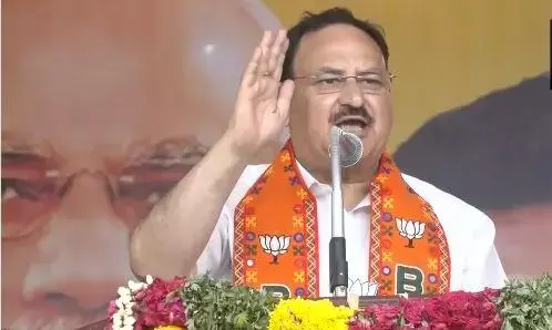 विरुधुनगर में कांग्रेस और डीएमके पर बरसे बीजेपी अध्यक्ष जेपी नड्डा