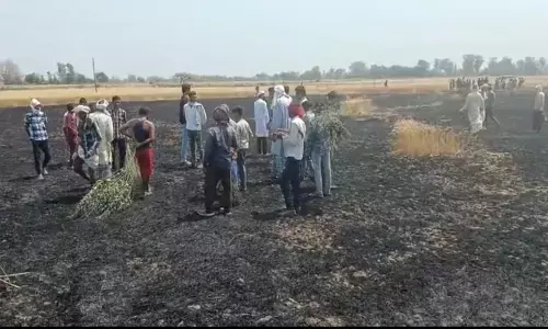 आग की चपेट में आने से करीब 35 एकड़ गेहूं की फसल खाक, फायर ब्रिगेड और ग्रामीणों की मदद से आग पर पाया काबू