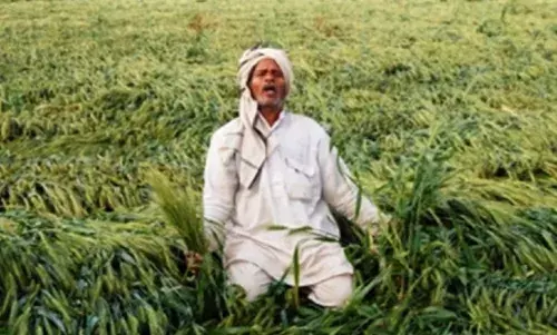 बीमा निकाला फिर भी किसान आर्थिक मदद से वंचित, सोयाबीन की फसल हुई थी नष्ट बीमा निकाला फिर भी किसान आर्थिक मदद से वंचित, सोयाबीन की फसल हुई थी नष्ट