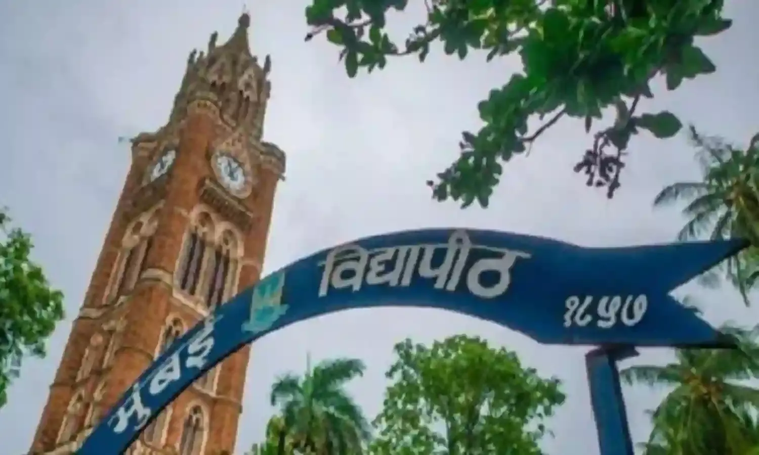 परीक्षा बीत गई तब विद्यार्थी को मिला हॉल टिकट, राज्यपाल और कुलपति से शिकायत