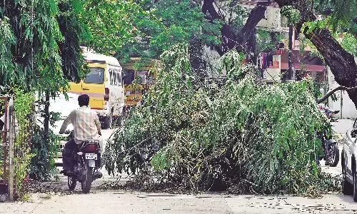 बेमौसम बारिश ने बरपाया कहर, आंधी-तूफान से कई जगह पेड़ जमींदोज, फसलों को भी नुकसान बेमौसम बारिश ने बरपाया कहर, आंधी-तूफान से कई जगह पेड़ जमींदोज, फसलों को भी नुकसान