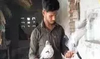 यूपी के आरिफ और सारस की कहानी के बाद, सोशल मीडिया पर छाई बादल - टाइगर की दोस्ती, लोगों का मिल रहा प्यार