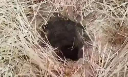 बोरवेल में गिरा 6 साल बच्चा, 160 फीट गहरे गड्ढे में फंसा, रेस्क्यू ऑपरेशन जारी बोरवेल में गिरा 6 साल बच्चा, 160 फीट गहरे गड्ढे में फंसा, रेस्क्यू ऑपरेशन जारी