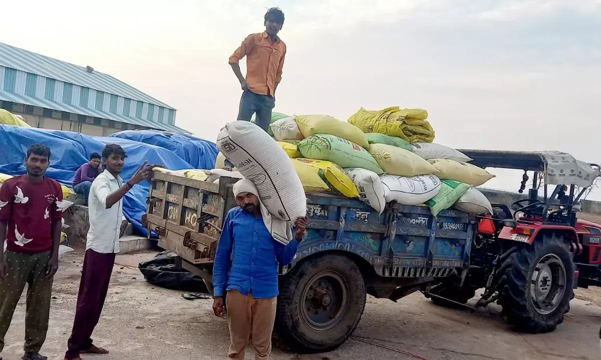 गेहूं खरीदी शुरू शाहनगर व रैपुरा में एक-एक खरीदी केन्द्र बनाए गए