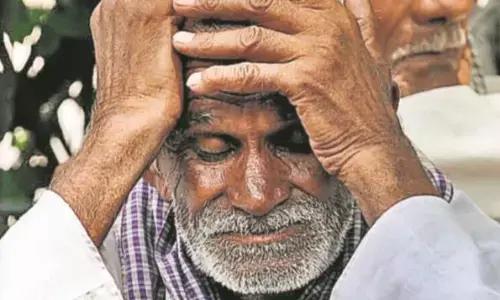 बेहाल किसानों को नहीं मिली मदद, बारिश से फसले नष्ट, मुआवजे की सिर्फ बातें बेहाल किसानों को नहीं मिली मदद, बारिश से फसले नष्ट, मुआवजे की सिर्फ बातें