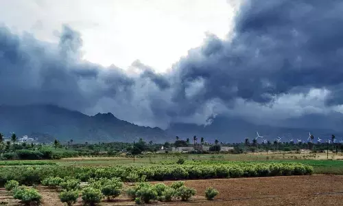 मानसून को लेकर आई अच्छी खबर, सामान्य से रहेगा बेहतर, आईएमडी ने बताया किन राज्यों में होगी अच्छी बारिश मानसून को लेकर आई अच्छी खबर, सामान्य से रहेगा बेहतर, आईएमडी ने बताया किन राज्यों में होगी अच्छी बारिश