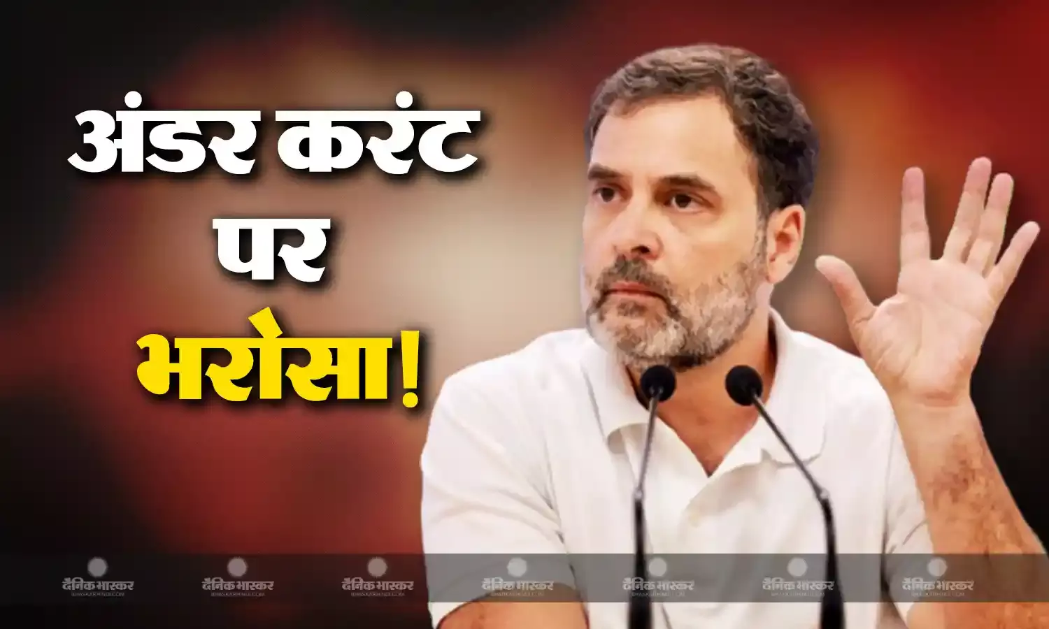 राहुल गांधी ने कर दी चुनावी भविष्यवाणी, बताया कितनी सीटों पर सिमटने वाली है बीजेपी, अंडर करंट करेगा कांग्रेस का बेड़ापार?