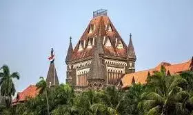 वकील कानून के तहत अपराधों के आरोप से विशेष सुरक्षा की मांग नहीं कर सकते