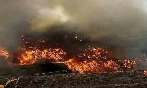 भीषण आग से दहक उठी गाजीपुर लैंडफिल साइट, आग पर काबू पाने में जुटी दमकल की कई गाड़ियां