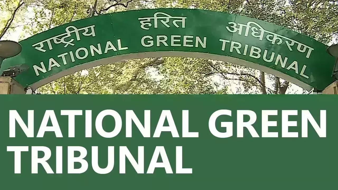 एनजीटी का राज्यों को निर्देश, वन भूमि के अतिक्रमण के बारे में मागी जानकारी एनजीटी का राज्यों को निर्देश, वन भूमि के अतिक्रमण के बारे में मागी जानकारी