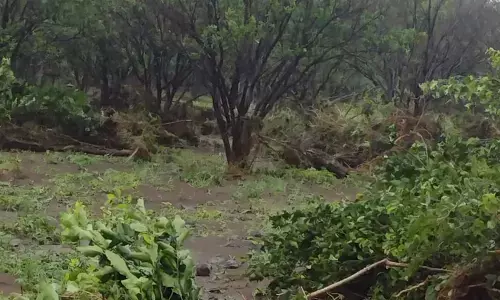 सिर्फ सात वोटर्स के लिए मेलघाट के पीली में बना मतदान केंद्र, पहुंच रहा सरकारी महकमा