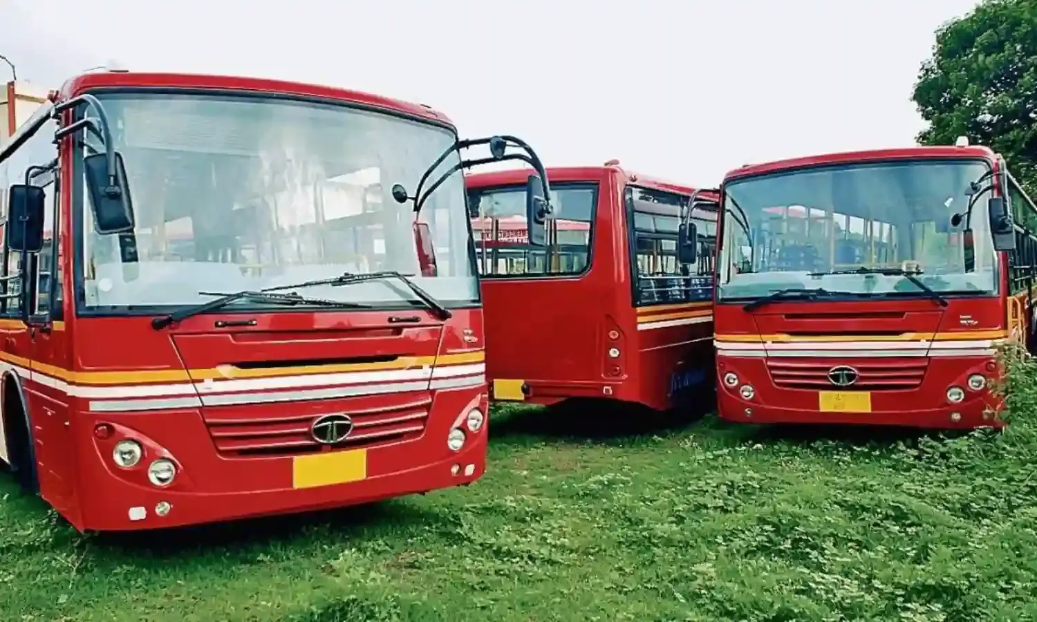 2 महीने पहले नगर निगम की 50 मेट्रो बसें कटने के लिए पहुँचीं थीं रजा मेटल