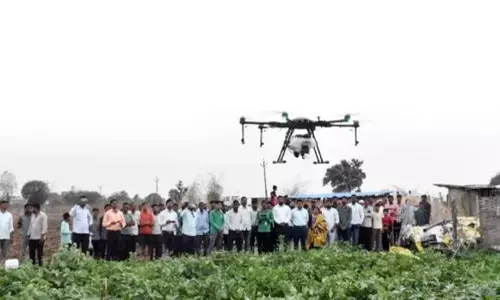 चंद्रपुर के पंचाला में ड्रोन से कीटनाशक के छिड़काव का किया सफल परीक्षण, किसान उत्साहित