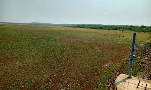 अप्रैल में ही सूख गया निमढेला तालाब,वन्यजीवों के पेयजल का गहरा सकता है संकट अप्रैल में ही सूख गया निमढेला तालाब,वन्यजीवों के पेयजल का गहरा सकता है संकट