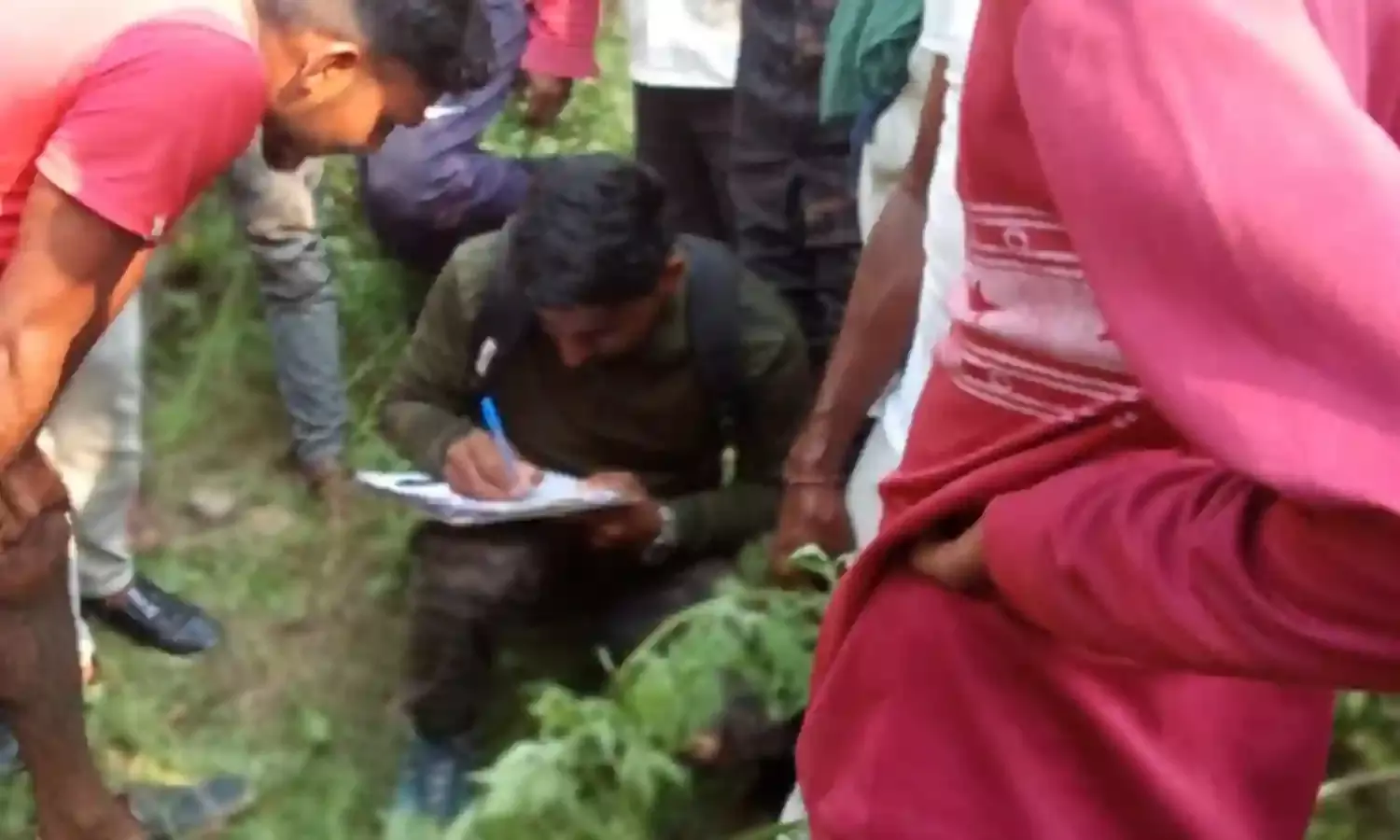 नागपुर से सटे सुरेवानी सिरोंजी क्षेत्र में शावकों के साथ घूम रही बाघिन
