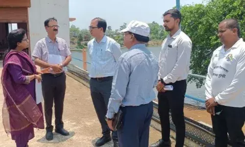 कलेक्टर ने धीरी परियोजना का किया निरीक्षण