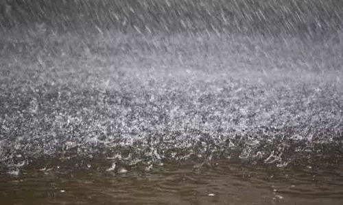 बेमौसमी बारिश से मकान, प्याज का नुकसान, पेड़ गिरने से बिजली आपूर्ति खंडित बेमौसमी बारिश से मकान, प्याज का नुकसान, पेड़ गिरने से बिजली आपूर्ति खंडित