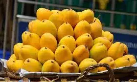 कार्रवाई नहीं - कैल्शियम कार्बाइड से आम पकाने का संदेह, सेहक के लिए हानिकारक कार्रवाई नहीं - कैल्शियम कार्बाइड से आम पकाने का संदेह, सेहक के लिए हानिकारक