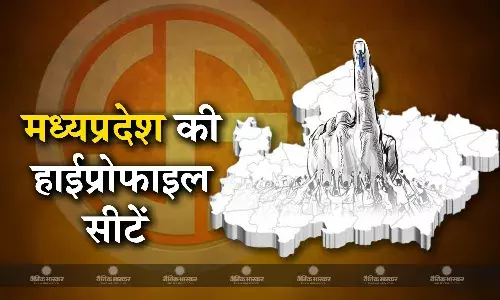 चौथे चरण के साथ मध्यप्रदेश की सभी 29 सीटों पर समाप्त हो जाएगा मतदान, जानिए इन 8 हाईप्रोफाइल सीटों के बारे में