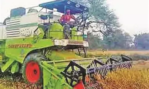 बेमौसम बारिश बनी किसानों के लिए बड़ी आफत, दिनभर डटे रहे बादल बेमौसम बारिश बनी किसानों के लिए बड़ी आफत, दिनभर डटे रहे बादल