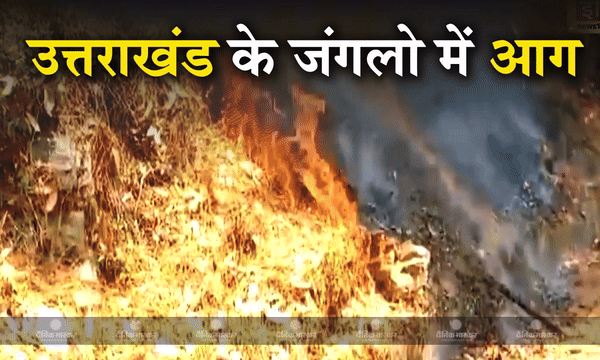 सुप्रीम कोर्ट ने जंगलों की आग पर अपनाया सख्त रुख, निर्वाचन आयोग को दिए ये आदेश