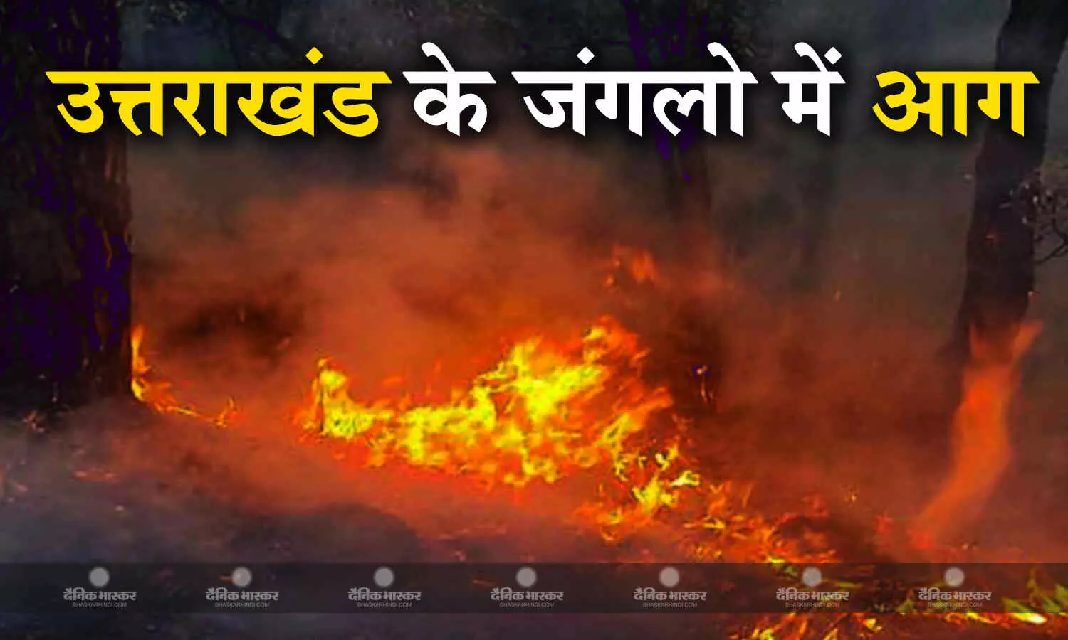 सुप्रीम कोर्ट ने जंगलों की आग पर अपनाया सख्त रुख, निर्वाचन आयोग को दिए ये आदेश सुप्रीम कोर्ट ने जंगलों की आग पर अपनाया सख्त रुख, निर्वाचन आयोग को दिए ये आदेश