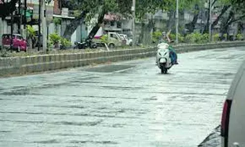 अचानक बदला मौसम, तेज हवा के साथ झमाझम बारिश, कई जगह गिरे पेड़, बिजली रही गुल