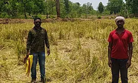 हाथियों ने अब खैरी-बेलगांव के खेतों में मचाया उत्पात, सप्ताह भर से आस-पास ही घूम रहा है झुंड हाथियों ने अब खैरी-बेलगांव के खेतों में मचाया उत्पात, सप्ताह भर से आस-पास ही घूम रहा है झुंड