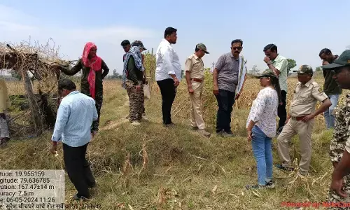 करंट से बाघ की मौत मामले में किसान के खिलाफ मामला दर्ज, सबूत मिटाने का किया प्रयास