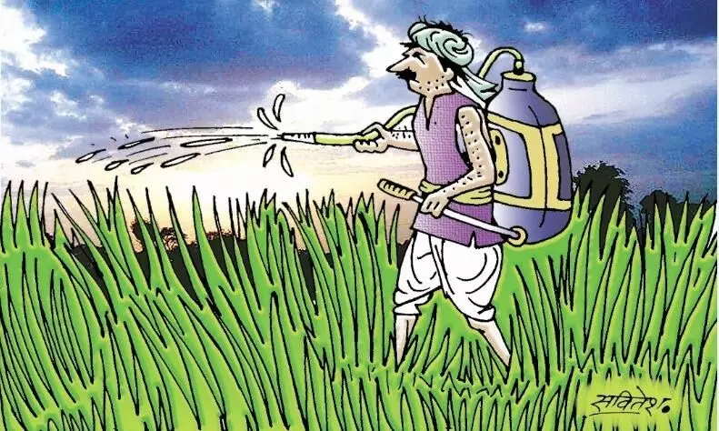 कृषि यंत्रों के जरिए मिल सकता है अधिक उत्पादन कृषि यंत्रों के जरिए मिल सकता है अधिक उत्पादन