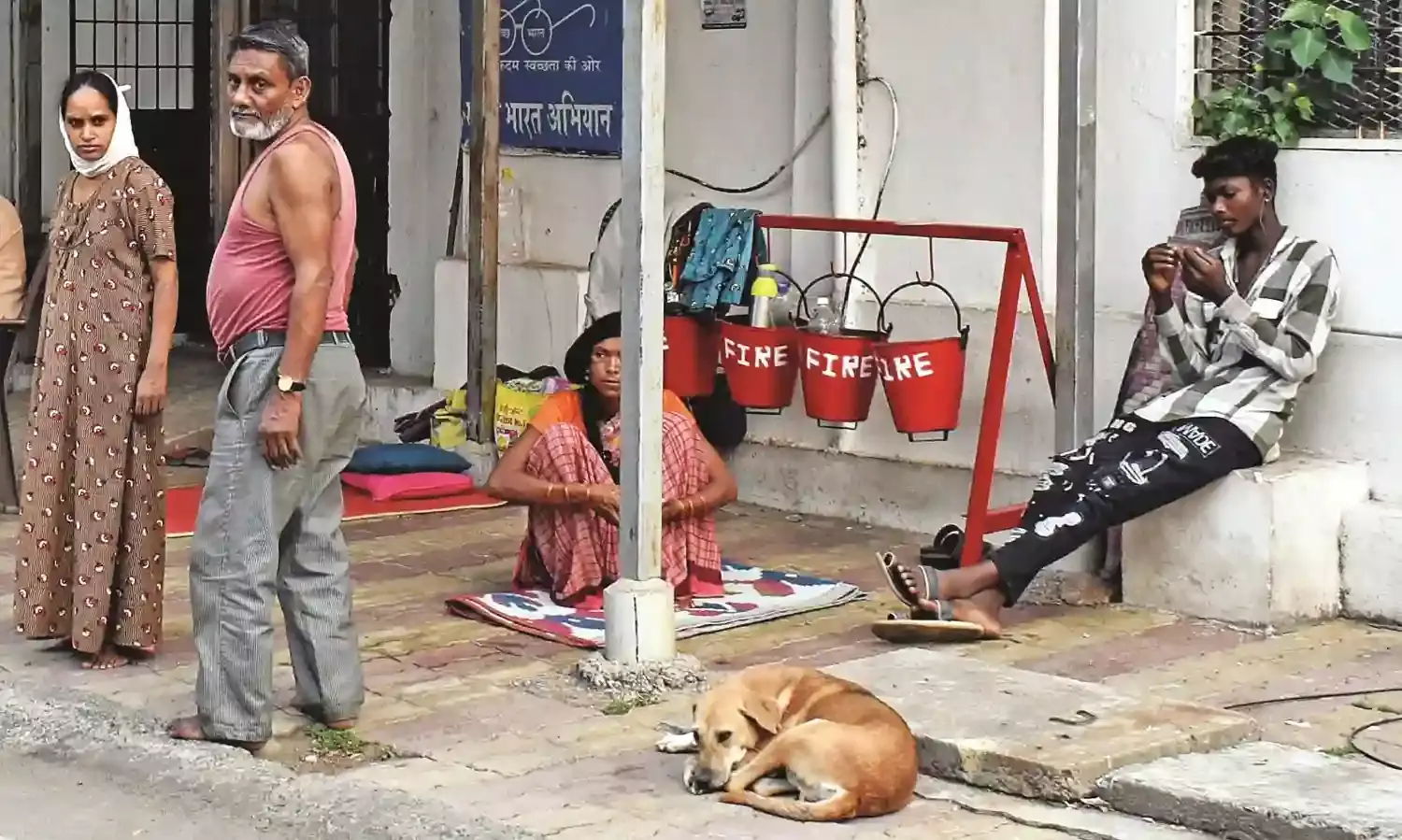 सरकारी अस्पतालों में आवारा श्वानों का डेरा, अस्पताल प्रबंधन की लचर कार्यप्रणाली