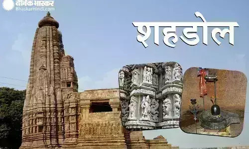 सोन घड़ियाल अभ्यारण्य में थम नहीं रहा रेत चोरी का सिलसिला, ट्रकों में भरकर रीवा, सतना व यूपी के शहरों तक सप्लाई