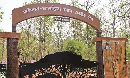 70 मचानों से होगी नवेगांव-नागझिरा व्याघ्र प्रकल्प में वन्यजीवों की गिनती
