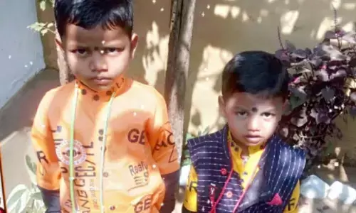 गड़चिरोली में बढ़ रहा मलेरिया का प्रकोप, 2 माह में 3 लोगों ने गंवाई जान