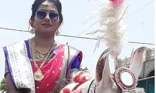 यवतमाल के मारेगांव में घोड़े पर सवार होकर निकली दुल्हनिया को देखने लगी भीड़ यवतमाल के मारेगांव में घोड़े पर सवार होकर निकली दुल्हनिया को देखने लगी भीड़