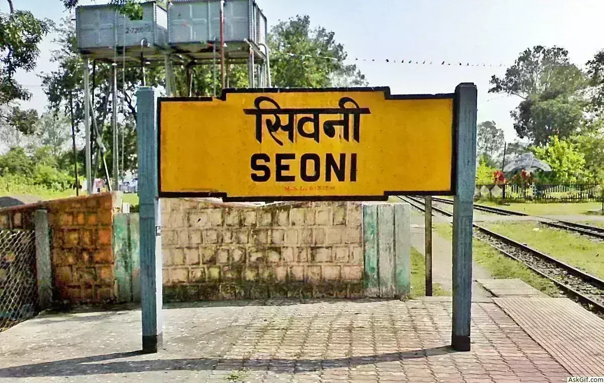 नगर पालिका ने काटे 100 से ज्यादा चालान, चलाया जा रहा स्वच्छता अभियान नगर पालिका ने काटे 100 से ज्यादा चालान, चलाया जा रहा स्वच्छता अभियान