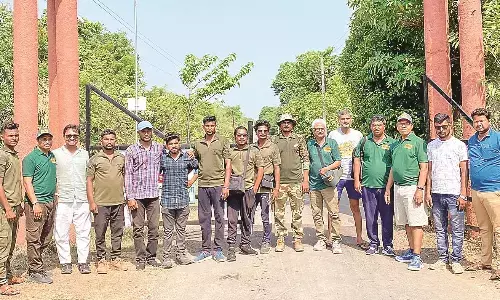 चांद की दूधिया रोशनी में प्रकृति प्रेमियों ने किए बाघ- हिरण और तेंदुए के दीदार चांद की दूधिया रोशनी में प्रकृति प्रेमियों ने किए बाघ- हिरण और तेंदुए के दीदार