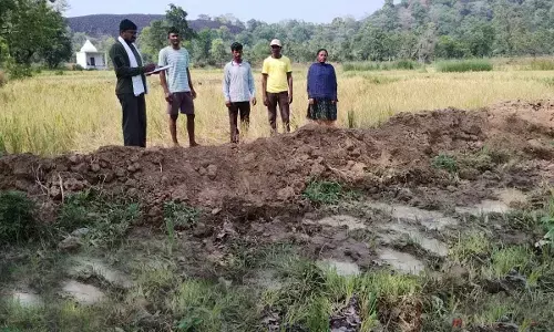 अब गड़चिरोली के पलसगांव क्षेत्र में दाखिल हुआ जंगली हाथियों का झुंड