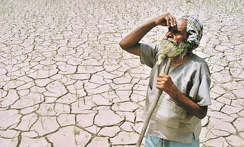 नागपुर जिले के 16 राजस्व मंडलों में अकाल की स्थिति , कर्ज वसूली रोकी नागपुर जिले के 16 राजस्व मंडलों में अकाल की स्थिति , कर्ज वसूली रोकी