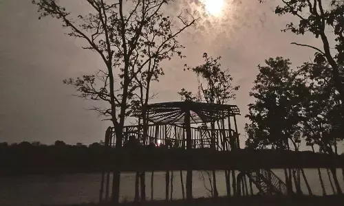 पेंच व्याघ्र प्रकल्प में बने 71 मचानों से पूनम के चांद में 2,698 वन्यजीवों का दीदार