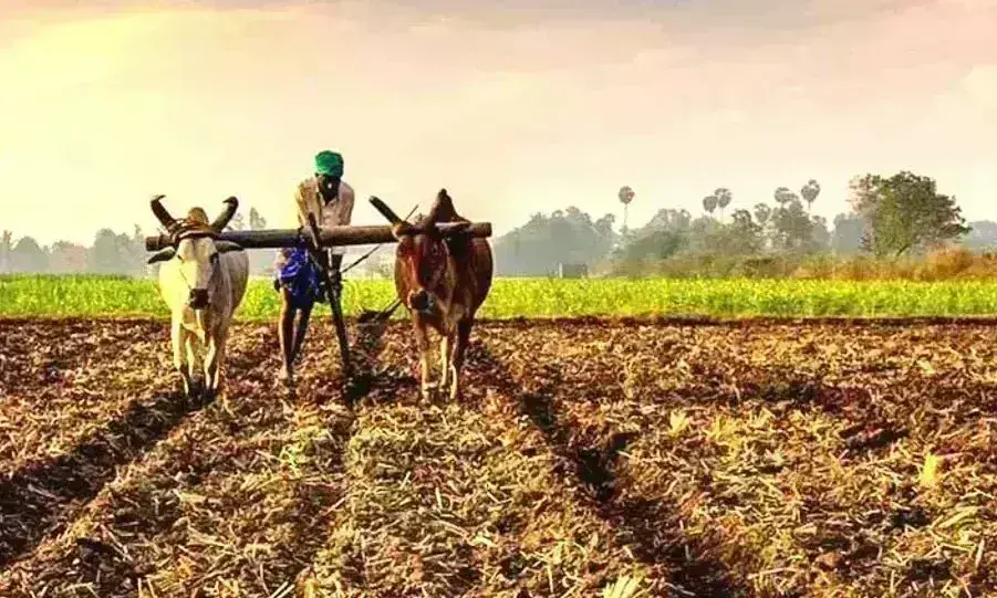 किसान भी परेशान, मुआवजे पर उठा है सवाल - तहसीलदार, नायब तहसीलदार नहीं