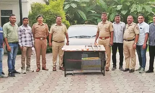 डकैती से पहले पुलिस ने दबोचा, अमरावती गैंग का पर्दाफाश, 3 गिरफ्तार व 2 फरार डकैती से पहले पुलिस ने दबोचा, अमरावती गैंग का पर्दाफाश, 3 गिरफ्तार व 2 फरार
